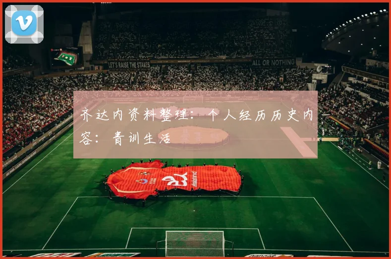 齐达内资料整理：个人经历历史内容：青训生活